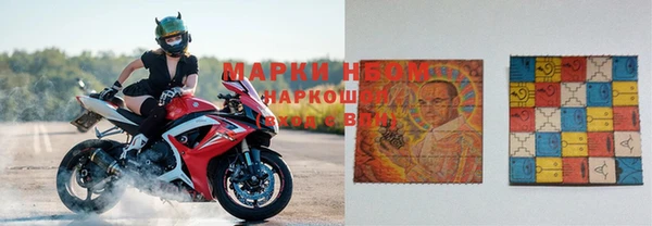 прущие грибы Баксан