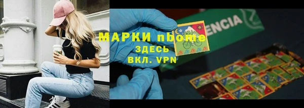 прущие грибы Баксан