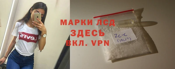 прущие грибы Баксан