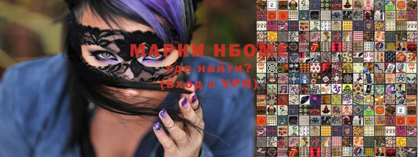 прущие грибы Баксан