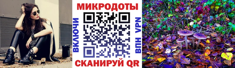 Псилоцибиновые грибы мицелий  Щёлкино 